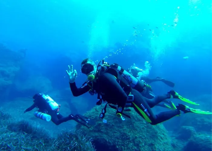 Apartment Chic 2br Apartment, Ideal Location By Buena Vista